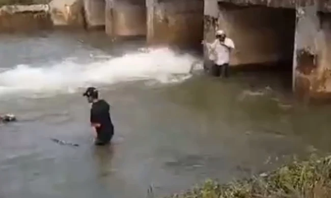 Το ψάρεμα του αιώνα – Δείτε τι ψαρούκλες βγάζουν σχεδόν με τα χέρια! Βίντεο